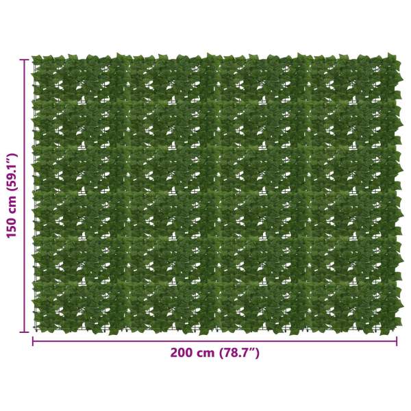 42040662_5.jpg