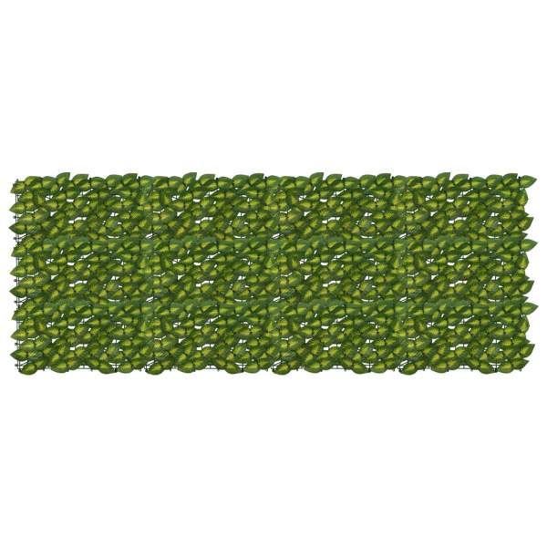 42040667_1.jpg