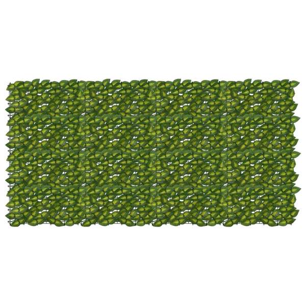 42040672_1.jpg