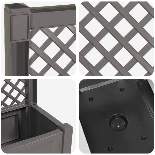 42041723_7.jpg