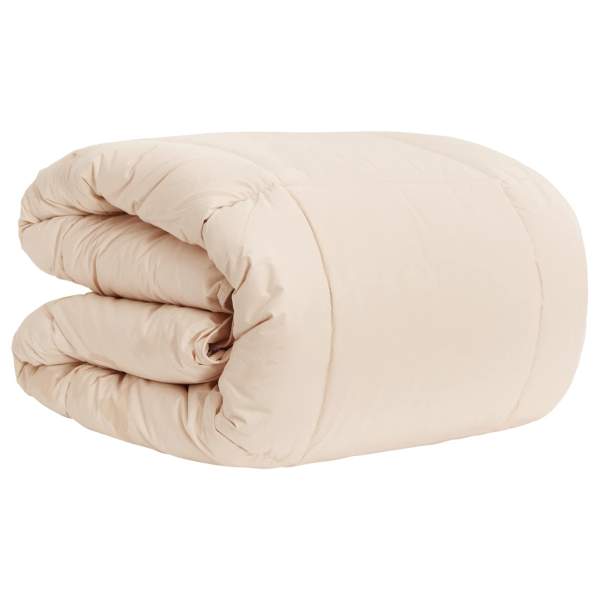 42041910_3.jpg