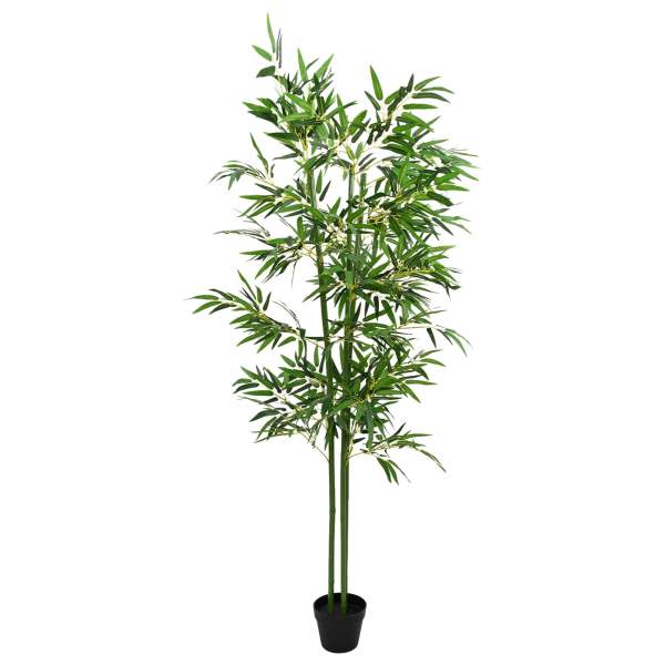 42042060_2.jpg
