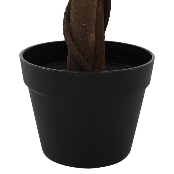 42042067_5.jpg