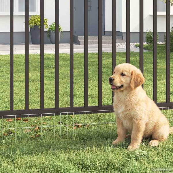 42042938_1.jpg