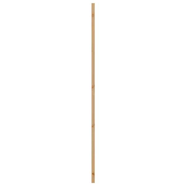 42047160_5.jpg