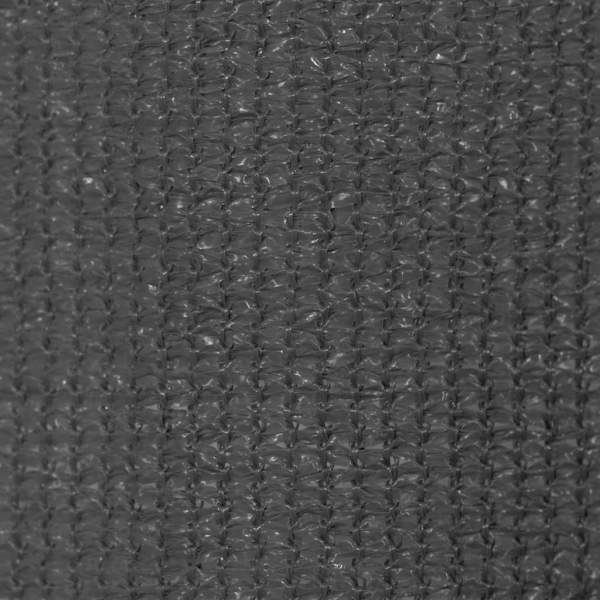 43499_5.jpg