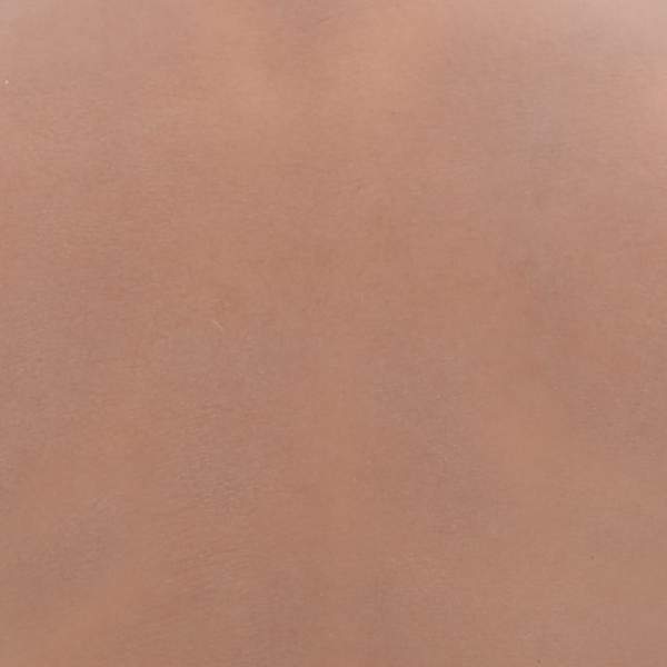 8721102849060_g_en_hd_6.jpg