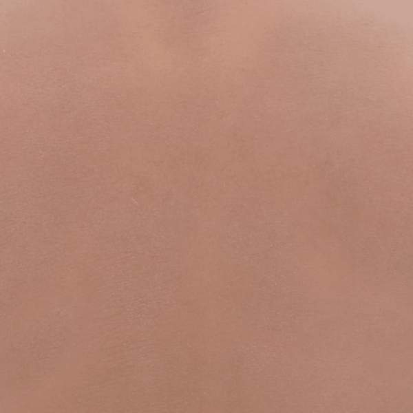 8721102849077_g_en_hd_6.jpg