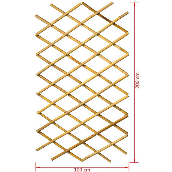 Nature Garten-Rankgitter 100x200 cm Bambus 6040722