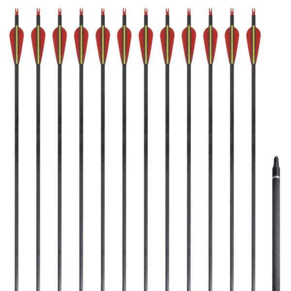 Standard Recurvebogen-Pfeile 30" 0,76 cm Karbon 12 Stück