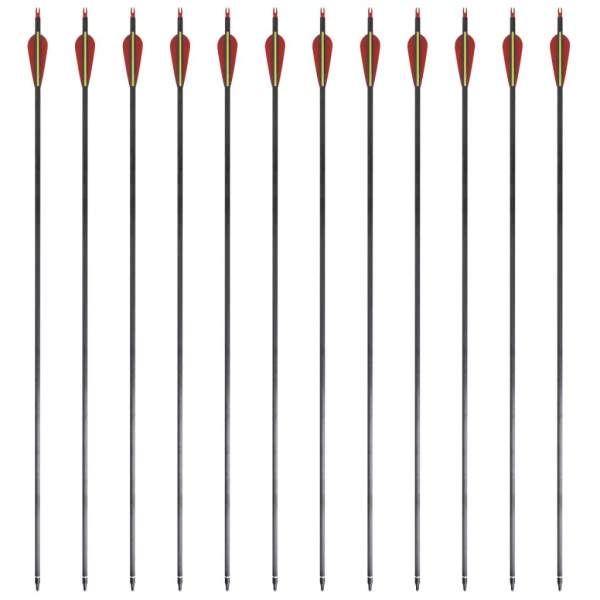 Standard Recurvebogen-Pfeile 30" 0,76 cm Karbon 12 Stück
