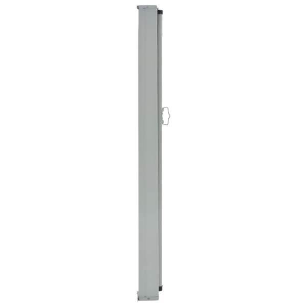  Ausziehbare Seitenmarkise 60×300 cm Blau