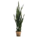 Emerald Künstliche Pflanze Sanseveria im Topf 84 cm 